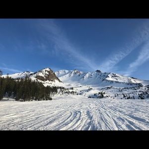 Meet your Posher, Aaron